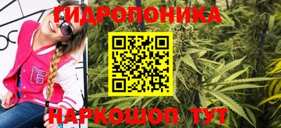бошки Лесосибирск