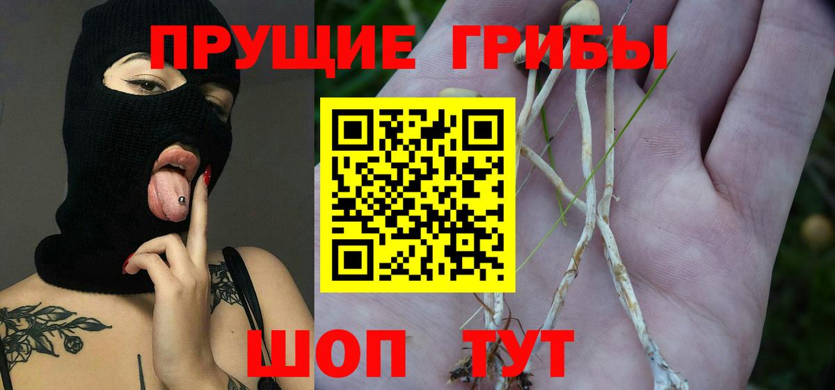 Псилоцибиновые грибы Psilocybine cubensis  Галлюциногенные грибы Cubensis  Егорьевск  Вход с VPN 