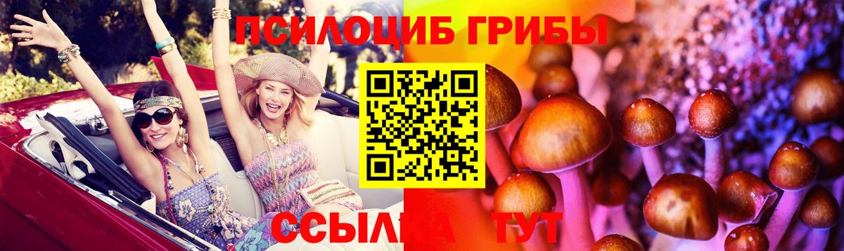 Галлюциногенные грибы прущие грибы Егорьевск